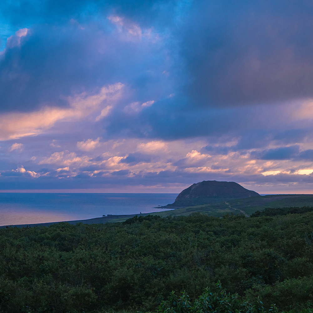 篠島