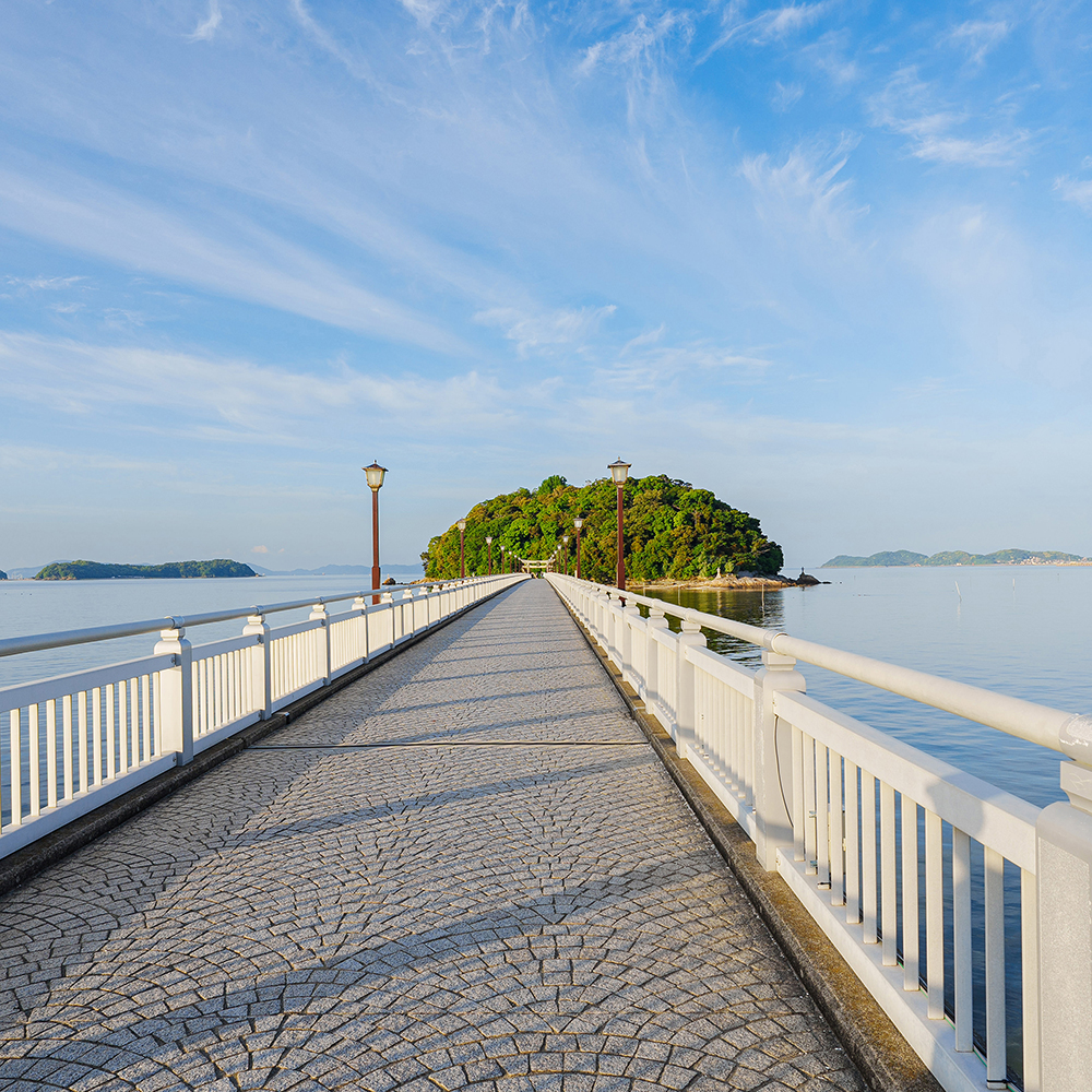 大根島