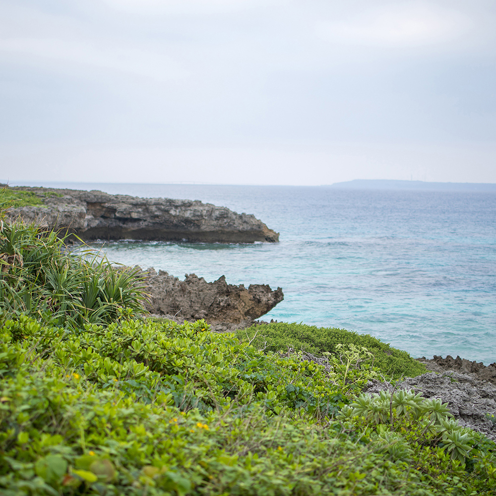 豊島