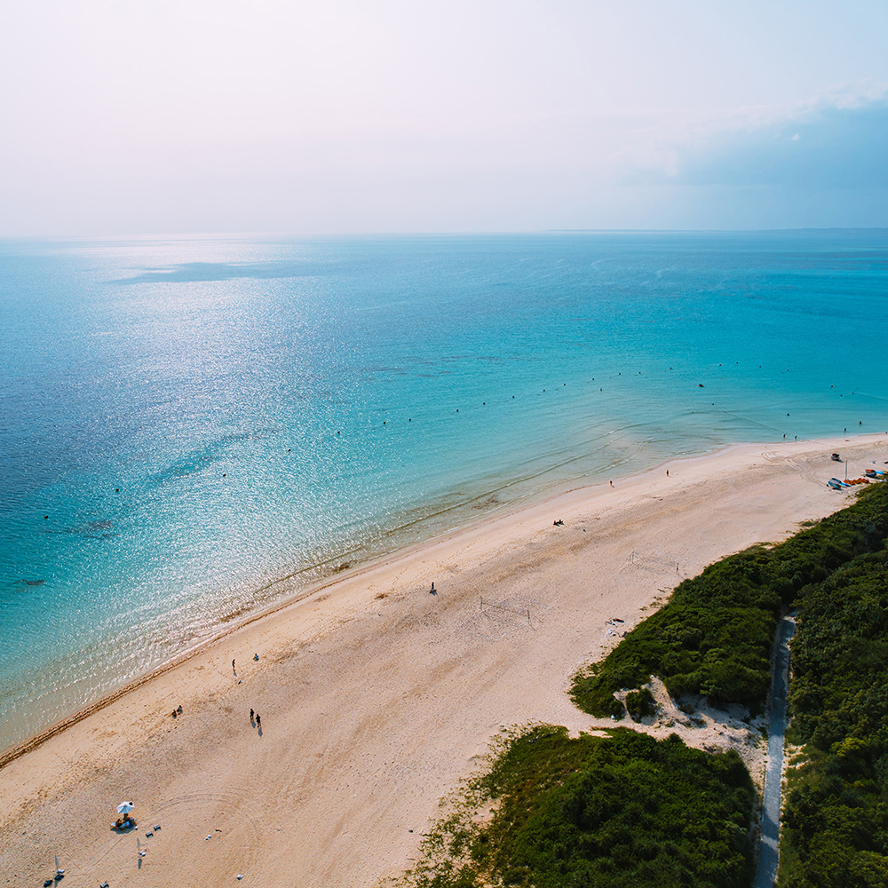 興居島