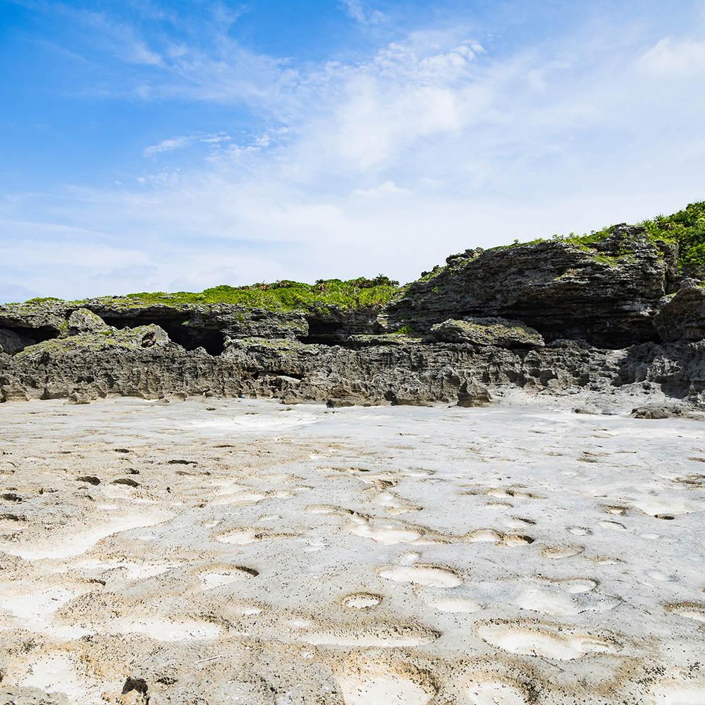 大矢野島