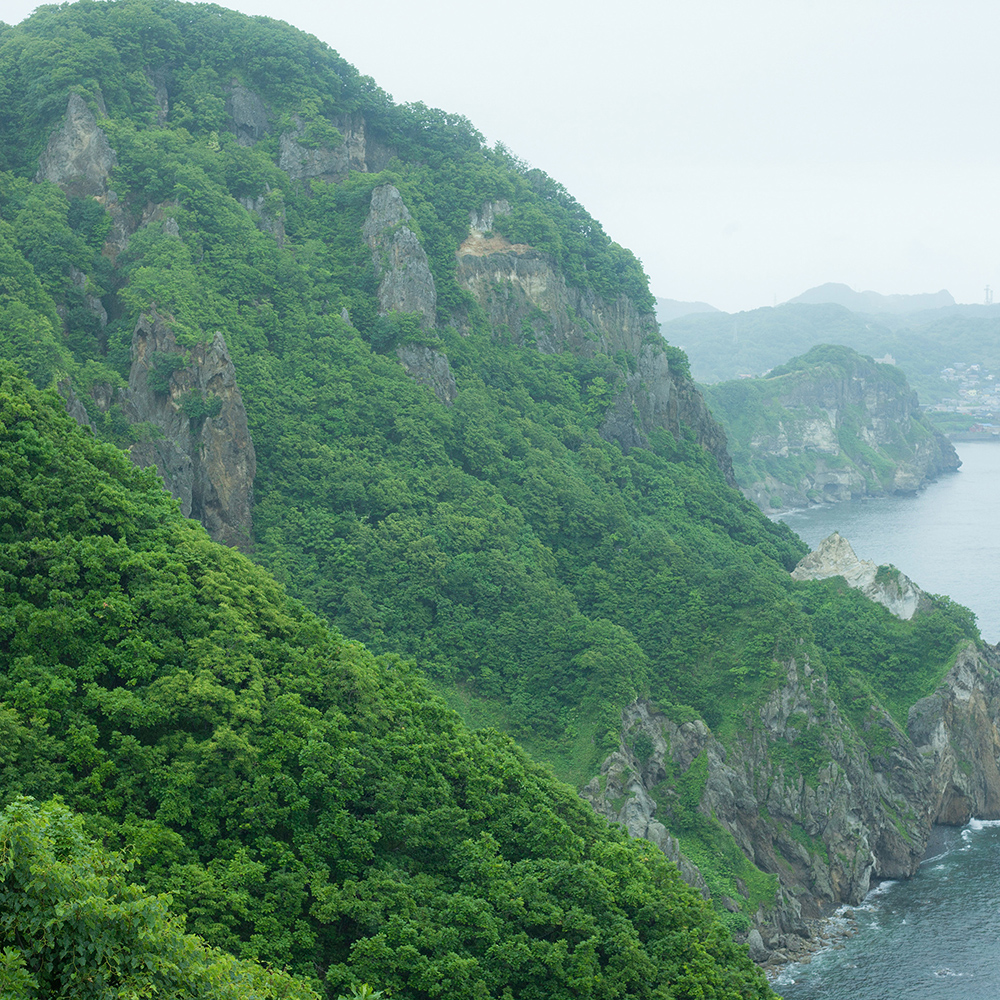 樋合島