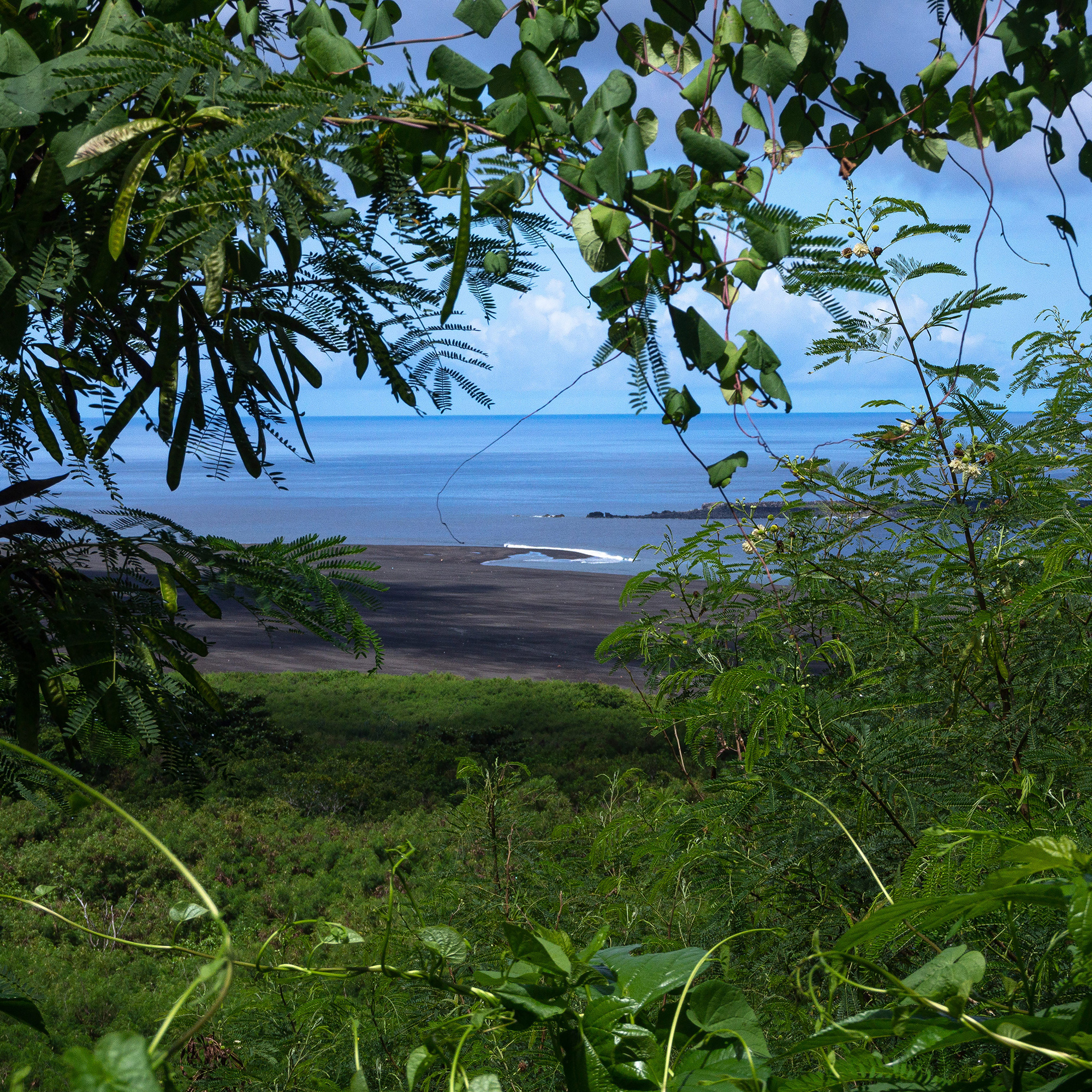 慶留間島